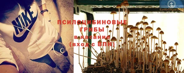 синтетический гашиш Алексеевка
