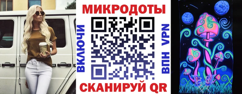 Галлюциногенные грибы Psilocybe  Чулым 